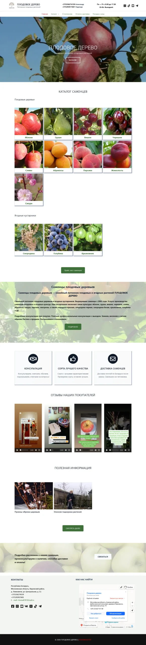 ПЛОДОВОЕ ДЕРЕВО питомник